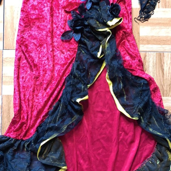 Donated Flamenco Spanish Dancer Costume w/ Shawl - Adult OS LNC - Picture 7 of 15